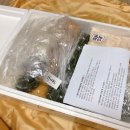 다담떡방 | 추석선물추천, 몰캉몰캉 말랭이 인절미 & 4색송편 다담떡방 후기