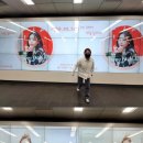 송하예 카카오 검색결과