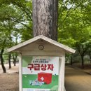 계룡산유아숲체험원 | 남양주 다산 지금동 황금산 유아숲체험원 후기