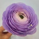 라탄공예 오후반 이미지