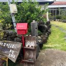 조천체육관 이미지