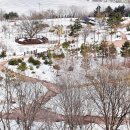 자생식물원 이미지