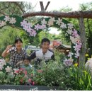 참샘마트 이미지