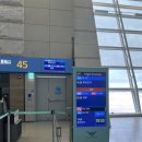 신사로 | 단벌신사로 혼자 떠난 일본 여행
