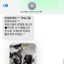 워싱고릴라 이미지