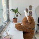 리코비케이크
