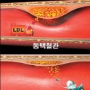 타워짐 피트니스 헬스 이미지