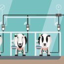 우일목장 이미지