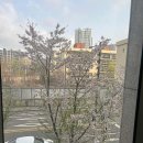 고요한집