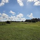 경보목장 이미지