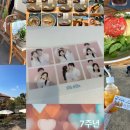 비슷한 듯 다른, 다른 듯 비슷한 일상 데이트 (동탄 빨간머리앤 카페/ 더 필름 셀프 사진관/ 기흥 롯데...