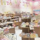 다올2호 이미지