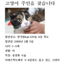 용산-이촌-215 이미지