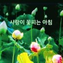 파출박사 이미지
