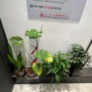 송천동스터디카페 [빅스 스터디카페 송천점]진짜 공부하는 사람들이 찾는 곳! 솔직후기