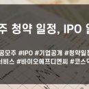 2월 공모주 청약 일정, IPO 일정에 대해 알아보도록 하겠습니다 이미지