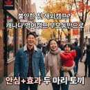 생활영어1A반(주간) | 불안한 첫 해외캠프? 캐나다 영어캠프 부모동반으로 안심+효과 두 마리 토끼