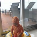 마린테라스 이미지