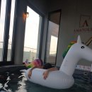 해마지펜션 | 경주 풀빌라 펜션 아나톨리아 후기/경주 나이프카페/경주 전복 전문 해마지식당(2020년11월경)
