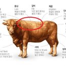 소잡는날 이미지