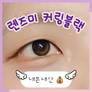 렌즈미 토리카 커링 블랙 내돈내산 후기