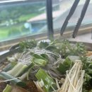 만포대식당 네이버블로그