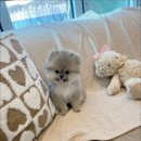 멜로디펍스 이미지