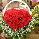 우정 농수산 이미지