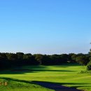 라온CC | 제주도 골프 3인 노캐디 예약 컨디션 좋은 제주 라온cc 후기