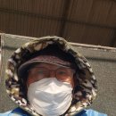 요즘 씨잘데기 없는전화 자주 오는지요? 이미지