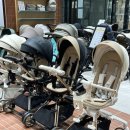 세움어린이집 | [에이블트라이크] 내돈내산, 에이블스핀플러스 트라이크 2주 사용후기/ 휴대용 유모차 졸업 고민 끝