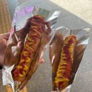 청풍호로 | 겨울여행지 1박2일코스 여행동선 제천 포레스트 리솜 숙소 S30 느루길8 + 헤브 나인 스파 후기