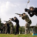 해군제1함대사령부(3특전대대)