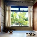 안덕면 명상 이미지