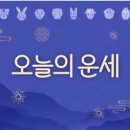 문화...서울신문 2025년5월14일