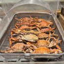 빕스판교점 | [판교역] 한 달 만에 올려보는 SKT 고객 감사제 평일 50% 할인 후기 &#39;빕스 판교점&#39;