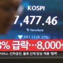 [속보] 코스피, 서킷브레이커 이어 매도사이드카 발동 이미지