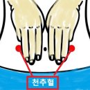 대맥 이미지
