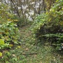 [파주시] 파평산 개성 송악산 조망, 파평 체육공원 환 종주(2024.10.21)