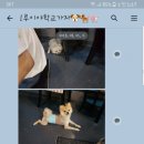 루이야 학교가자 이미지