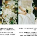 룸504 이미지