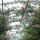 장미주공아파트 이미지