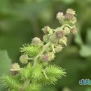 상상출판사 - 동구 | 상상출판사