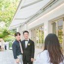 그린티스냅 이미지