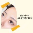 세븐일레븐일산백석동문점 | 일산속눈썹 백석역 깔끔하고 풍성한 속눈썹연장 추천 염뷰티