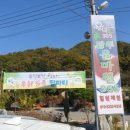 광주율마원365 이미지