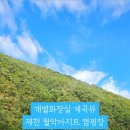 월악아지트캠핑장 이미지