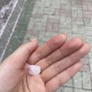 남동중학교 안 이미지