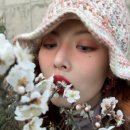 비전포에버 이미지