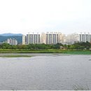 조원동-1 이미지
